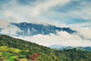 Mount Kinabalu View