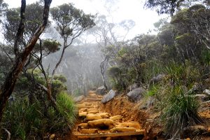 Mount Kinabalu Route